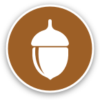 Acorncircleicon